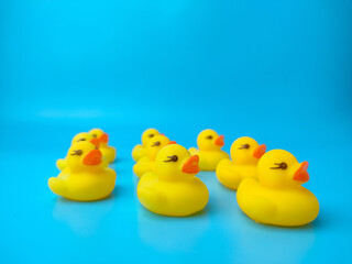 A group of toy ducks gathered on a blue background