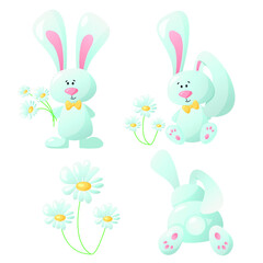 Vector set of cute rabbit and chamomile