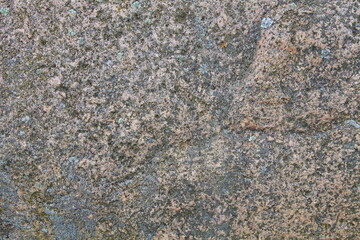 The texture of an old large stone covered with blue mold.