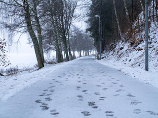 Frozen path, winter, Valdemarsvik Sweden