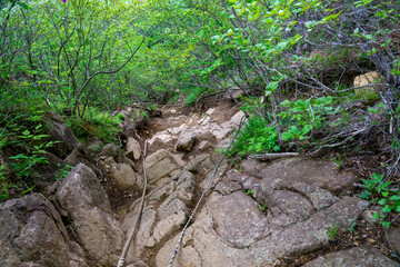 Obraz premium 十二ヶ岳の岩稜帯