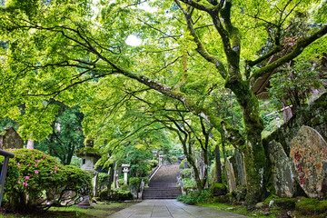 Fototapeta premium 最乗寺
