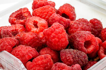 Fresh Red Raspberries isolated on an extendable white background. Macro detailing, Studio lighting, ample space for copy. 
