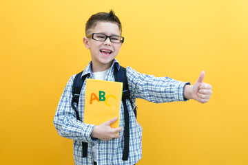 Child boy, on a yellow wall background. Great idea. Happy smiling schoolboy goes back to school. Success, motivation, winner, genius concept.