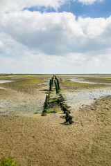 Wet sandy beach with mossy logs to vanishing point in horizon.