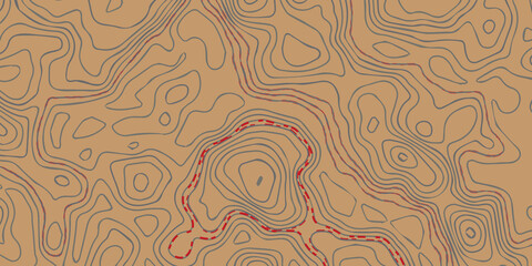 Topographic map background concept. Vector abstract illustration. Geography concept. The stylized height of the topographic map contour in lines and contours on paper background.