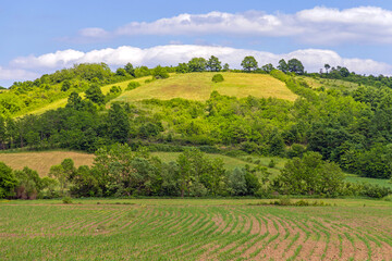 Fototapeta na wymiar Green Hill Landscape