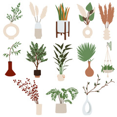 Set of vector indoor plants in flower pots