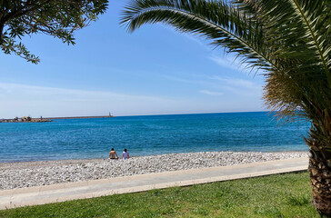 Two girls are sitting on a rocky beach and enjoy the clear and blue sea and clear sky. In the foreground is a beautiful palm tree and a tree.
