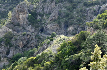 corse
