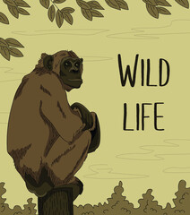 Brown chimp sitting on the tree. Wild life. Hand drawn, cartoon, comics style.