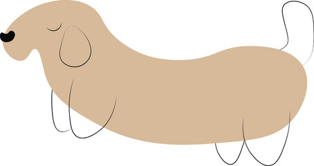 Vector doodle of a cute and funny dachshund. Design of a cartoon character-a dog or a dog with a flat color. animals on a white background