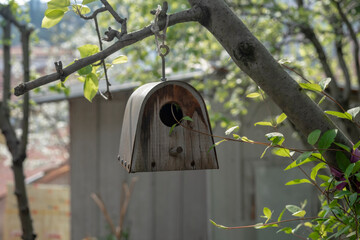 wooden birdhouse hanging from the tree in the garden of the house. Selective focus birdhouse.