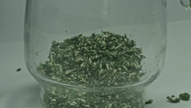 Bring fresh Trichoderma fungi into a container and add water to flood, .then use a wooden stirrer to allow the fungus to come off the grain..Prevent and eliminate fungi that destroy plants.