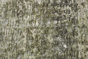 Old wood panelling background textured (Full Frame)