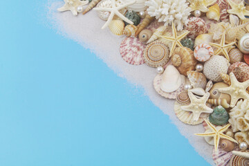 Tropical seashells, corals and starfishes on blue background, copy space for text