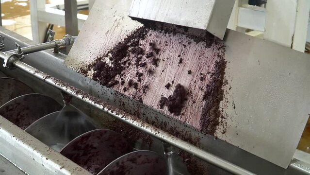 Acai berries being processed in a modern food industry factory. Organic a&ccedil;a&iacute;, Euterpe Oleracea,  from Amazon is washed, sanitized, crushed and frozen into pulp for export.