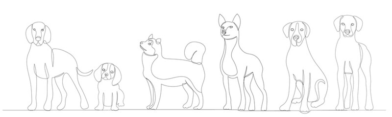 dogs of different breeds one continuous line drawing, sketch, isolated, vector