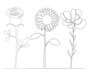 flowers drawing in one continuous line, sketch, isolated, vector