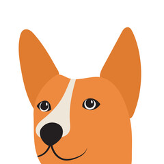 dog portrait in flat design isolated