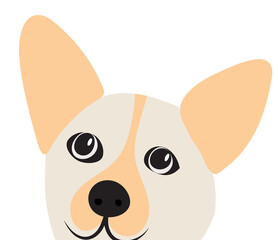 dog portrait in flat design
