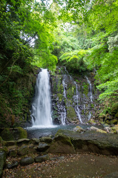 熊本県　白糸の滝