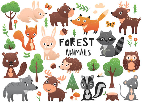 Forest animals with cute bear, fox, bunny, deer and other.  Cute cartoon set.