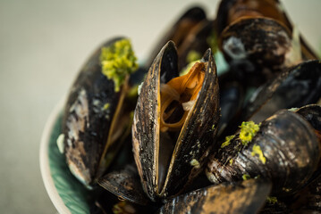 Macro shot of Mussels