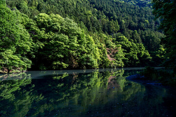Fototapeta na wymiar Beautiful summer season scene of lake. green reflective forest view of Japan Asia. Water reflection nature photography. Beauty of nature concept background.