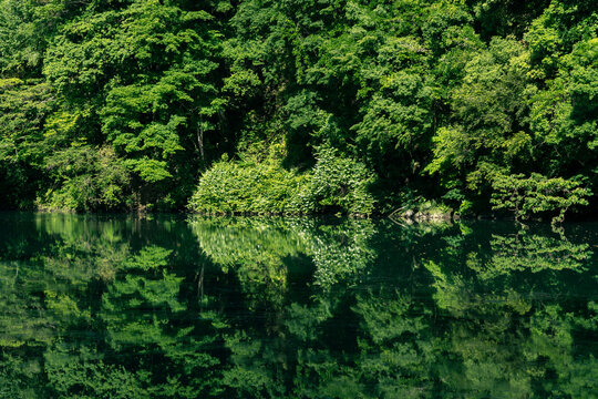 Beautiful summer season scene of  lake. green reflective forest view of Japan Asia. Water reflection nature photography. Beauty of nature concept background.