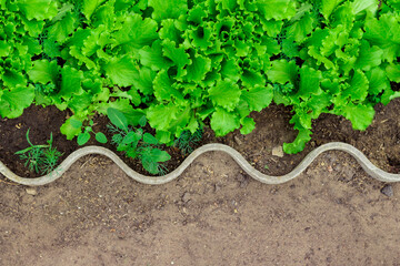 wave-shaped bed with green grass