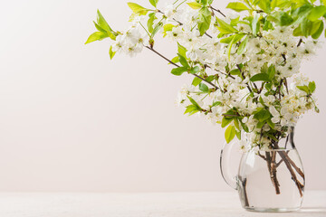 Bouquet of flowering spring branches in glass jar on light beige background