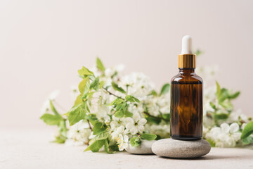 Glass dropper bottle and blossoming tree branches on beige background. Skincare products , serum, natural cosmetic. Beauty concept for face and body care