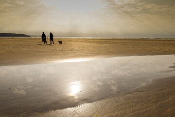 People walk their dogs on the beach by the sea