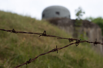 Detail of rusty barbed wire