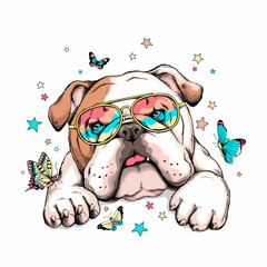 Cute english bulldog with butterflies.Summer illustration. Stylish image for printing on any surface