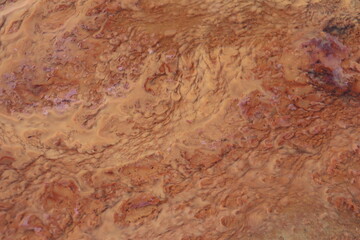 orange precipitate which indicates the water contains iron. form a beautiful background.