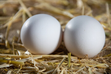 Mother will prepare bakery products for her children