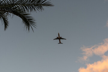 sunset on tropical beach with coconut palm trees during silhouette airplane flying take off over