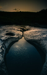 MURIQUI MANGARATIBA RIO DE JANEIRO COSTA VERDE  SERRA DO PILOTO