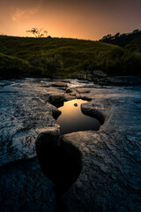 MURIQUI MANGARATIBA RIO DE JANEIRO COSTA VERDE  SERRA DO PILOTO