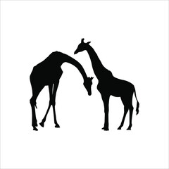 A Pair of Giraffe Silhouette for Logo or Graphic Design Element. Vector Illustration