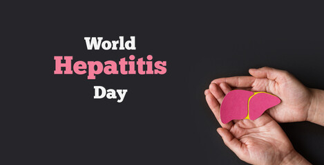 World hepatitis day. Adult hands holding donation liver on black background. Awareness of...