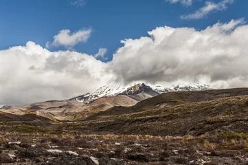 Tuinposter Mt. Ruapehu © Fyle