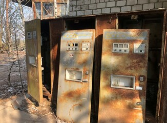 consequences of the Chernobyl disaster
