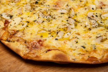 Brazilian pizza with mushroom, cheese and oregano