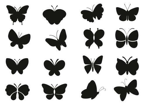 Butterfly collection Silhouettes premium vector template