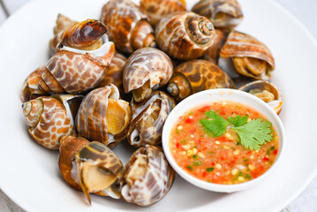 Fresh  Spotted babylon Sea shell limpet ocean gourmet seafood in the restaurant, Babylonia areolata...