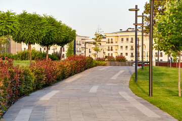 Sidewalk through a park with fresh green grass, bushes and trees around and light houses in the background at sunrise warm light