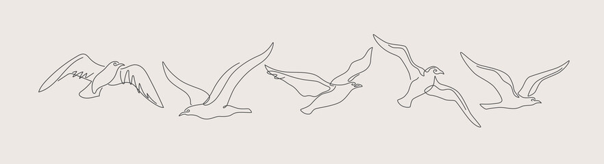 Set of linear images of flying birds. Continuous one-line drawing of a seagull. Black and white vector illustration on a light isolated background.